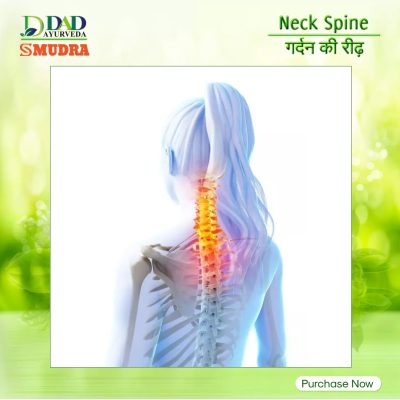 Spine Treatment 2 Neck Spine