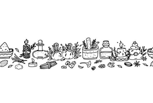 Terms & Conditions 1 Certificate in Ayurveda Herb Cultivation