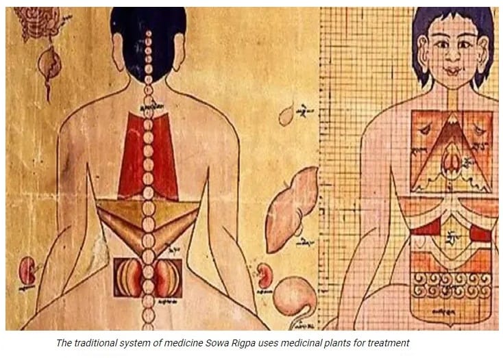 Sowa Rigpa 1 Sowa Rigpa