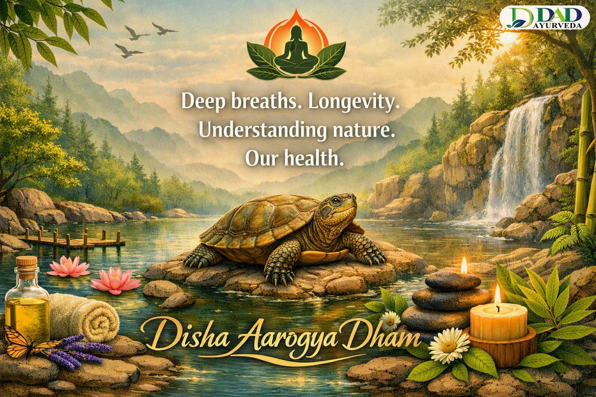 Deep breaths. Longevity. Understanding nature. Our health